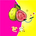 色虎app手机版下载安装